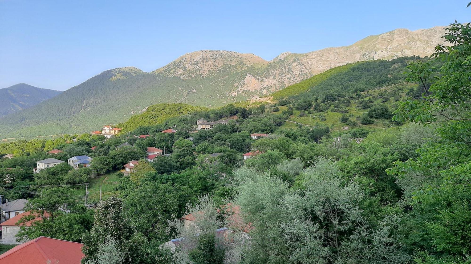 Kria Vrisi Apartment Anthochori (Ioannina)