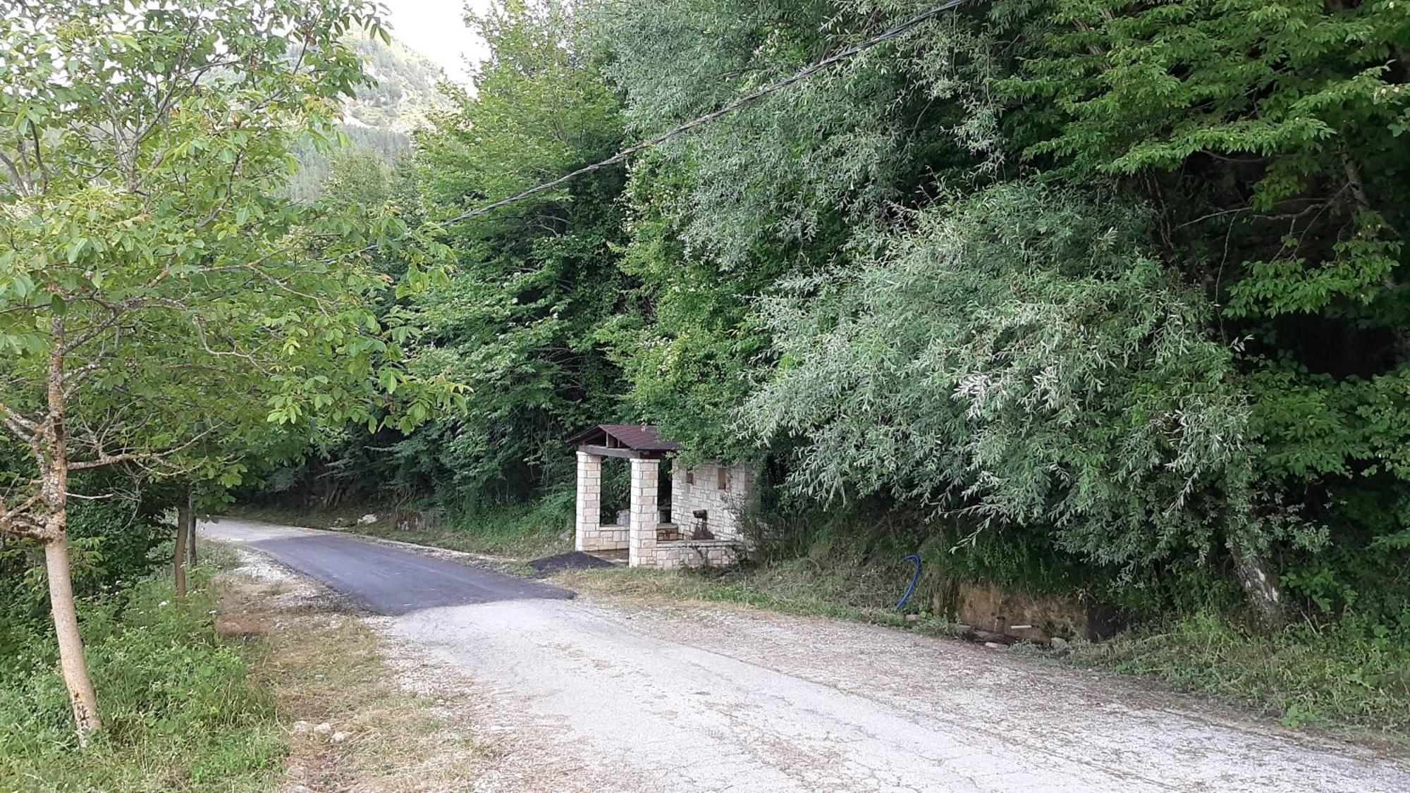 Kria Vrisi *